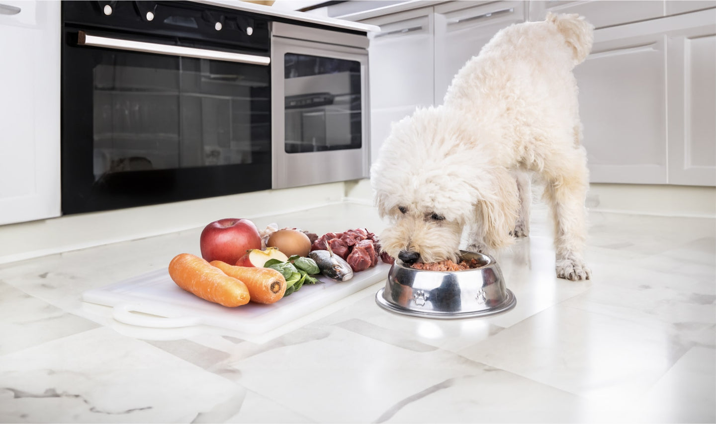 Why Choose a Raw Food Diet for Your Pet