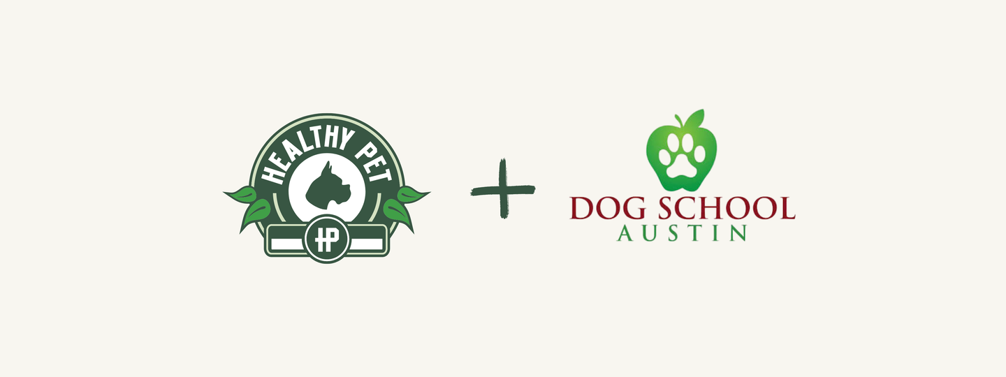 Meet Dog School Austin: Helping Fender Become His Best Self