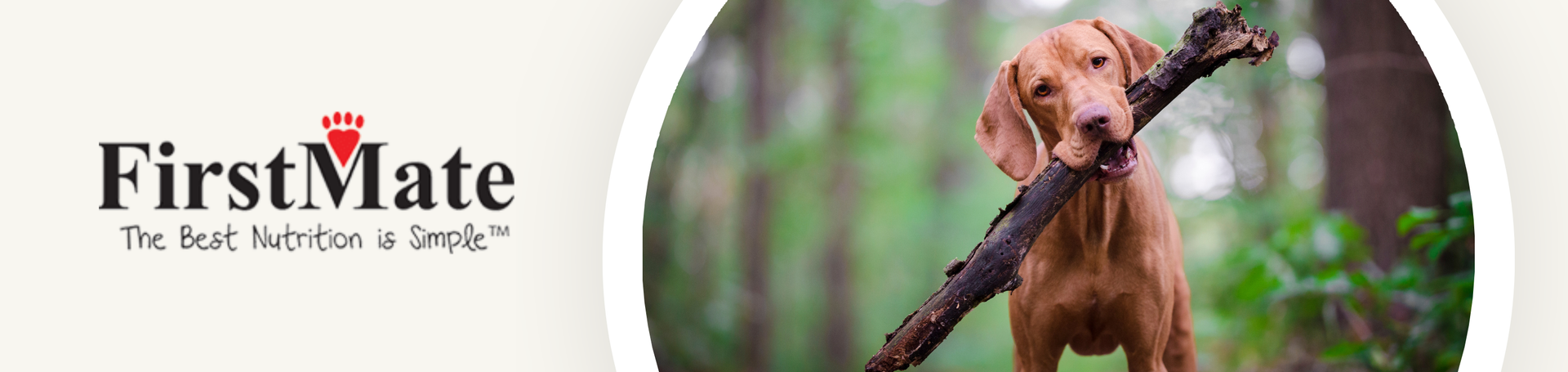 FirstMate (December Sale)