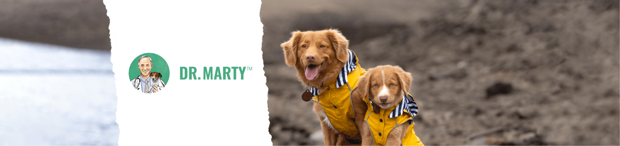 Dr. Marty March 2024 Sale Healthy Pet Austin