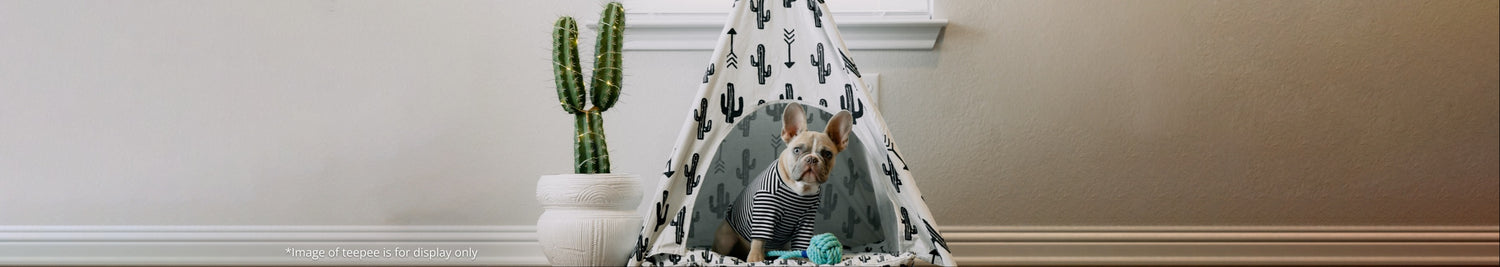 Teepees/Pet Carriers (Black Friday and Small Business Saturday)