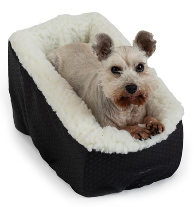 Snoozer Console Car Seat Snoozer Console Car Seat