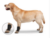 ZenPet OrthoWraps Injury Prevention & Recovery Brace ZenPet OrthoWraps Injury Prevention & Recovery Brace