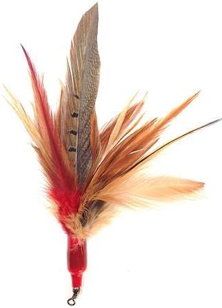 Go Cat Da Wild Thing Go Cat Da Wild Thing