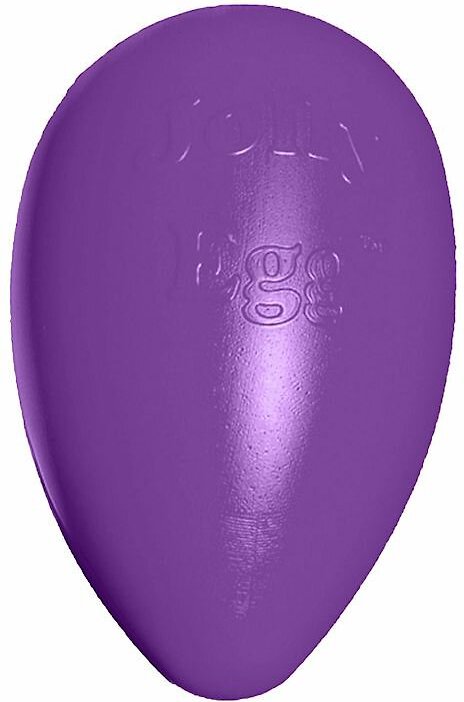 Jolly Pets Jolly Egg 8"