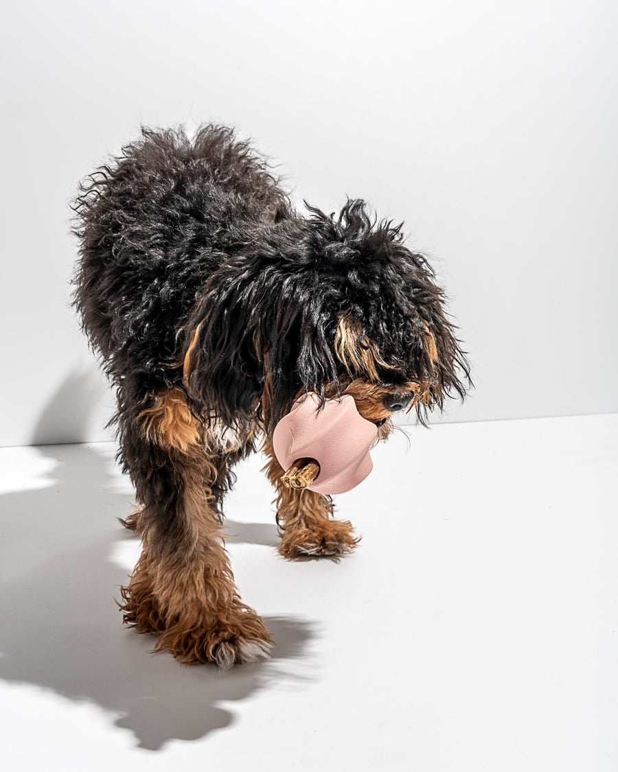 Wild One Twist Toss Ball