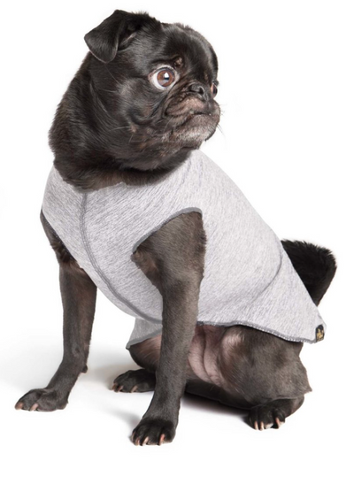 Goldpaw Sun Shield Tee Goldpaw Sun Shield Tee