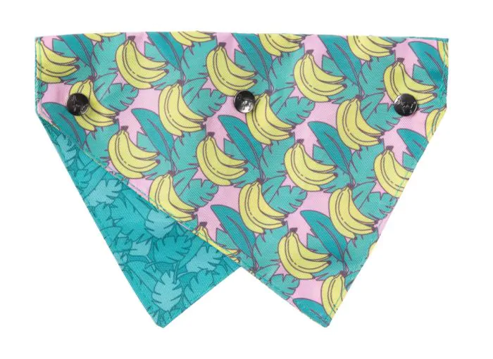 FuzzYard Bandana