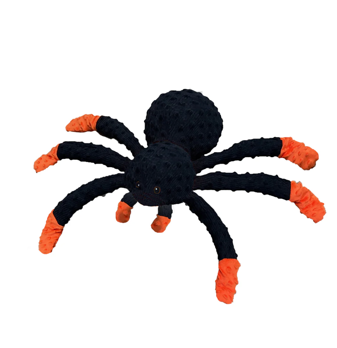 Petlou Halloween Spider
