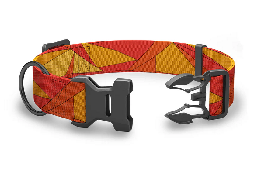 Wingo Outdoors Blaze Maze Collar