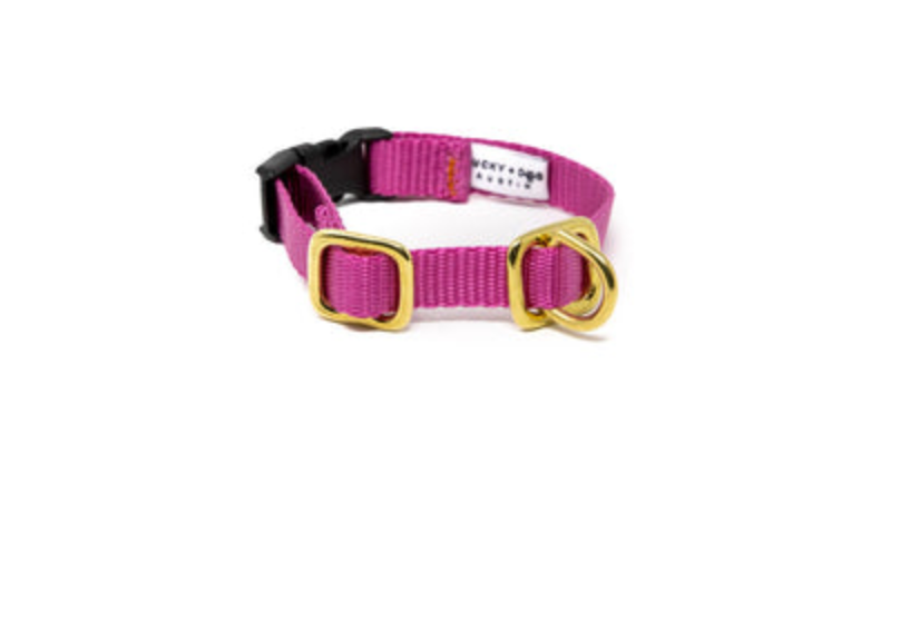 Lucky + Dog Austin Puppy Collar