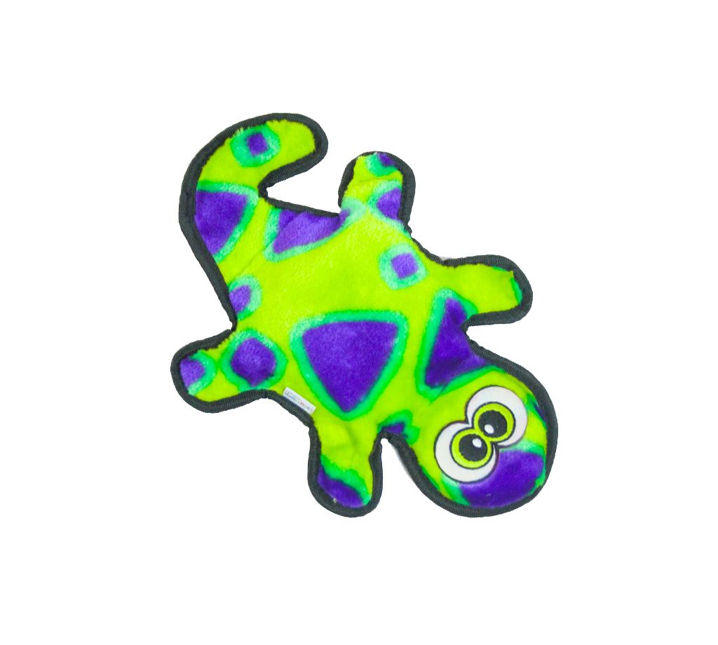 Invincibles Gecko