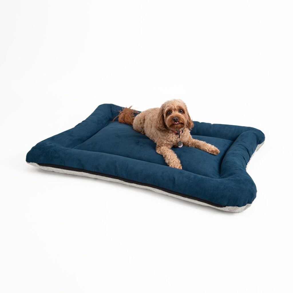 Snoozer All Day Bed