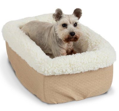 Snoozer Console Car Seat Snoozer Console Car Seat