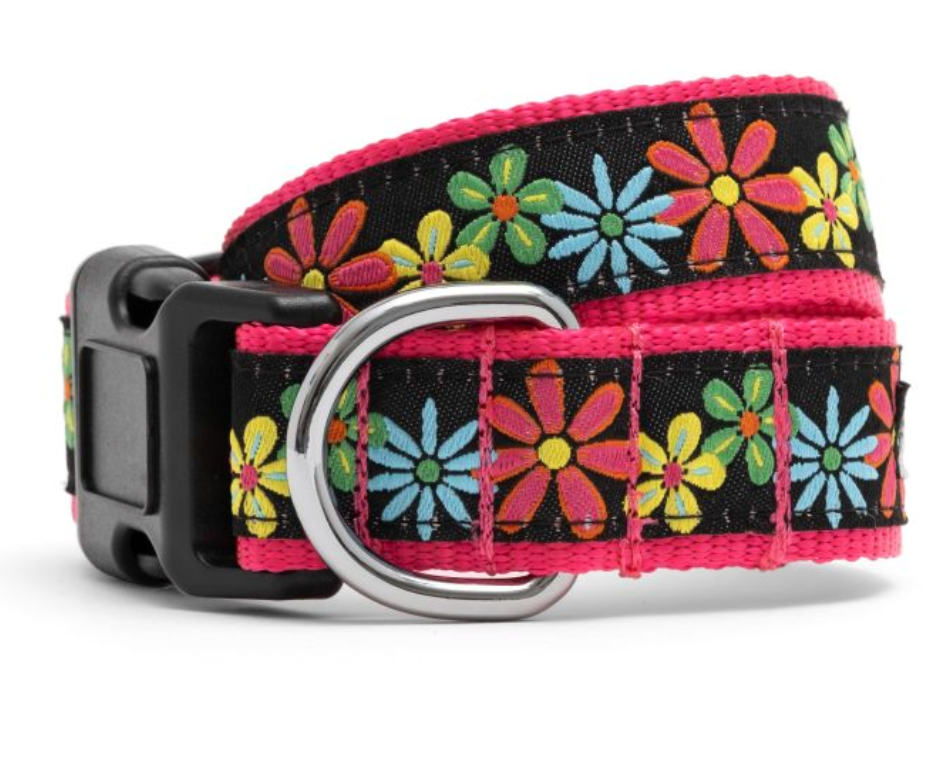 The Worthy Dog Blossoms Collar