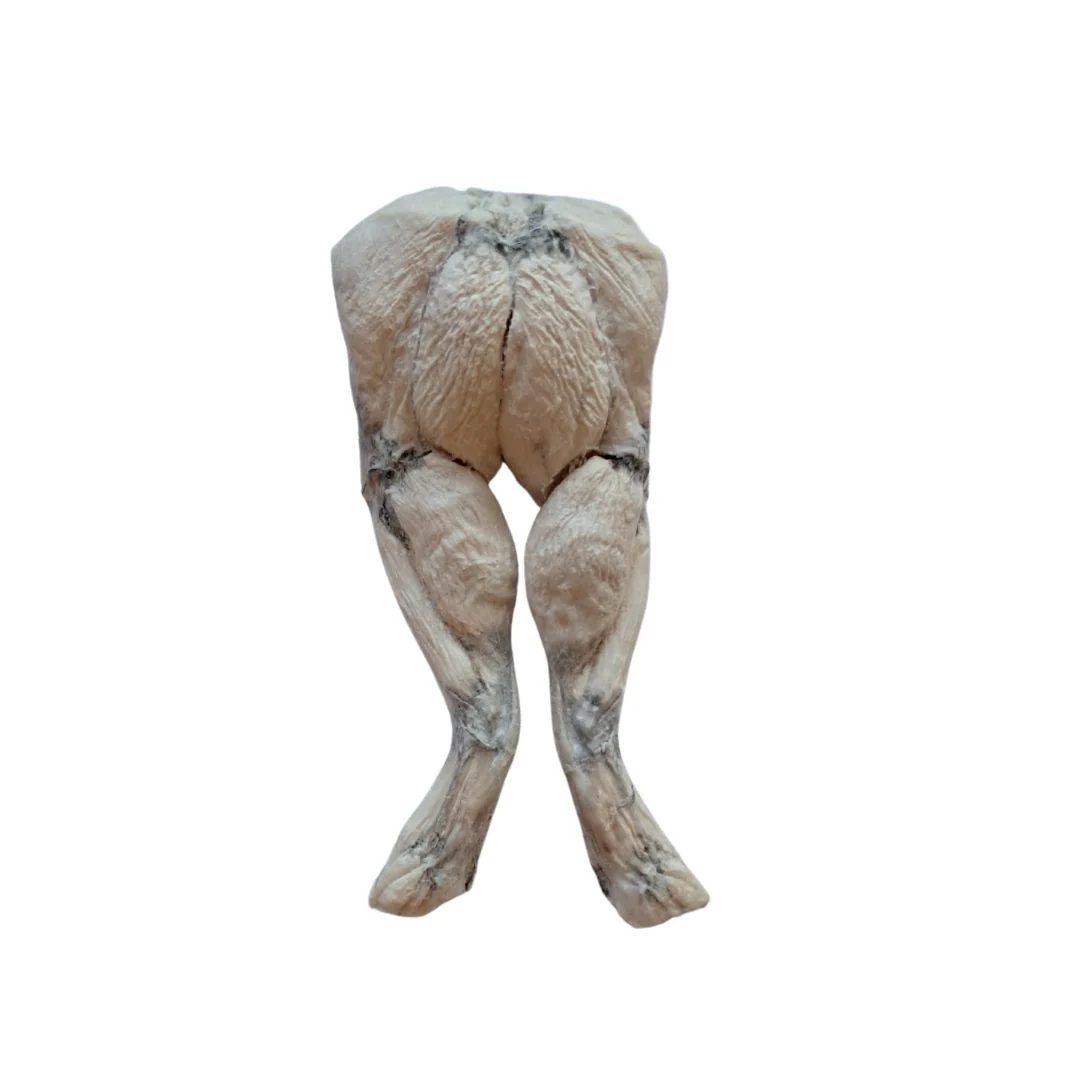 Bones & Co Freeze Dried Frog Legs