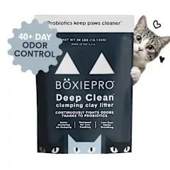 Boxie Cat Pro Bot Litter