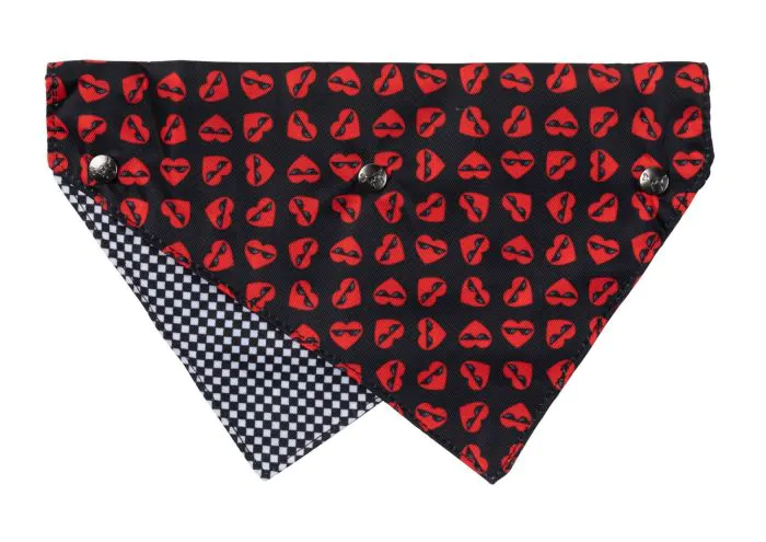 FuzzYard Bandana
