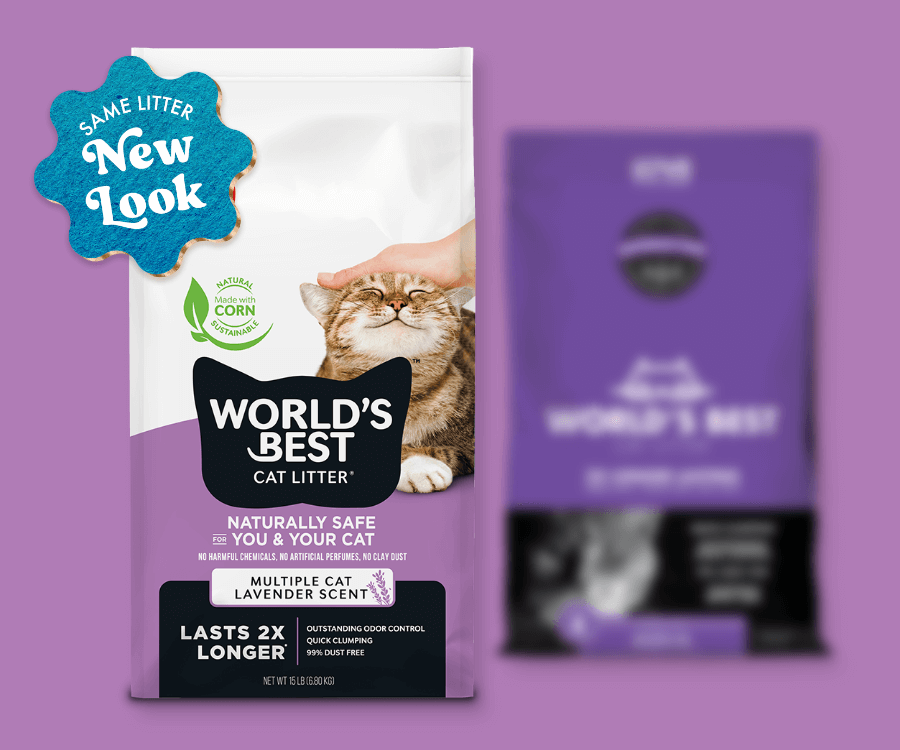 Worlds Best Multi-Cat Lavender Scented Litter
