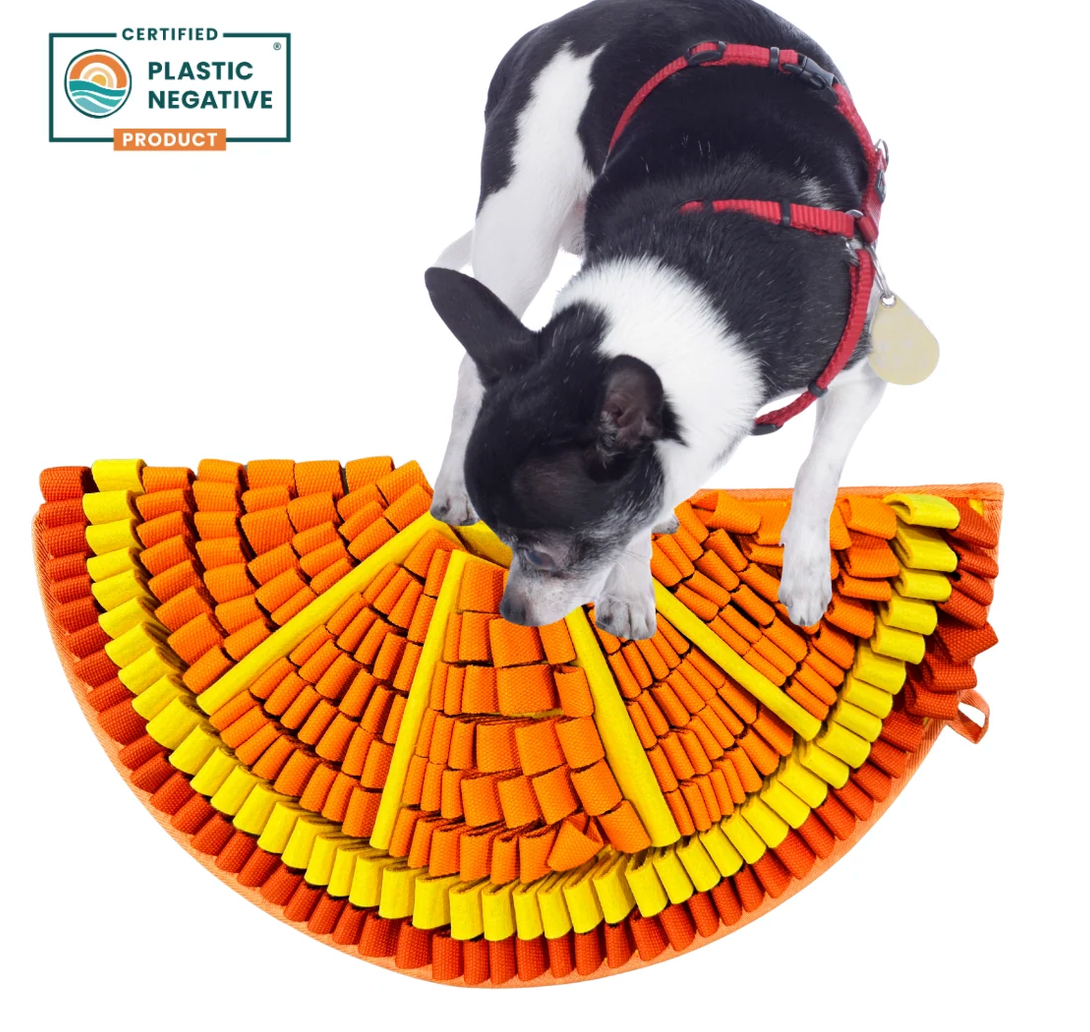 Summertime is known as the dog days for a reason! Our Tangy Orange Snuffle Mat from the Citrusy Collection is here to remind you that canine enrichment toys can help brighten up your furry friend’s summer. Bright colours, sturdy material, and...