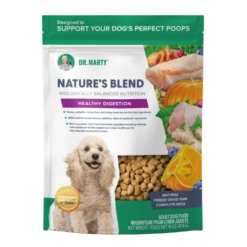 Dr. Marty Natures Blend Healthy Digestion