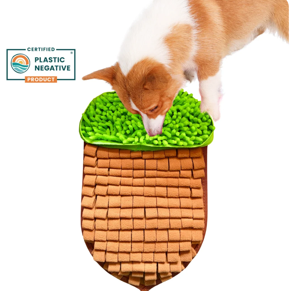 PawzNDogz Nutty Acorn Snuffle Mat Level 1