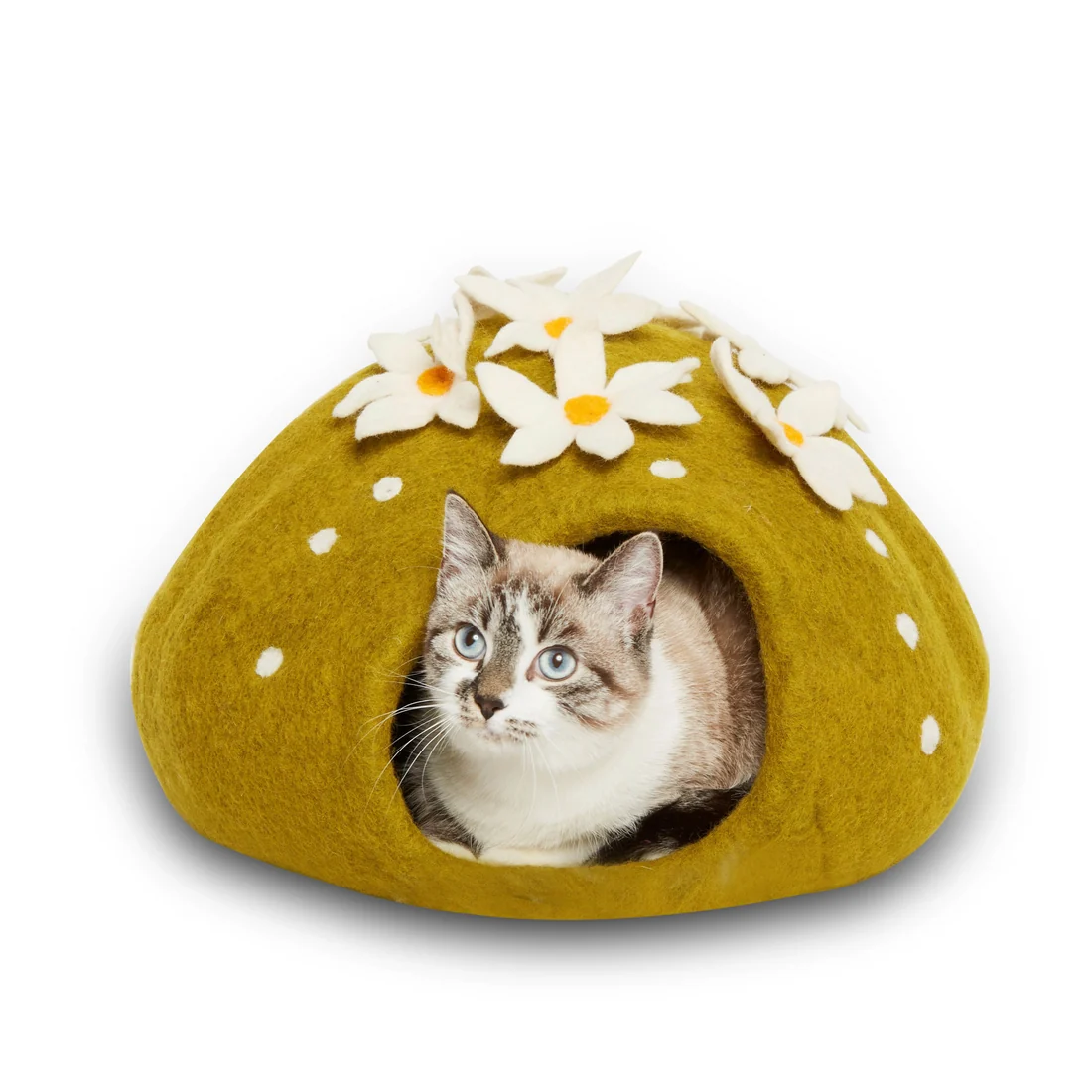 Karma Cat Wool Pet Cave Cactus