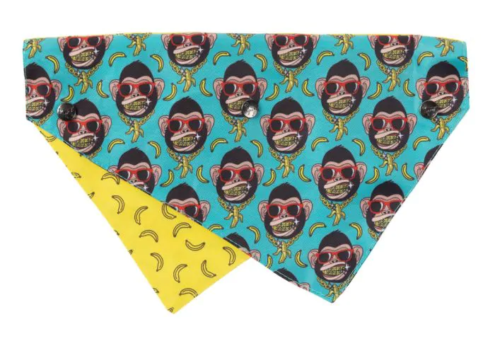 FuzzYard Bandana