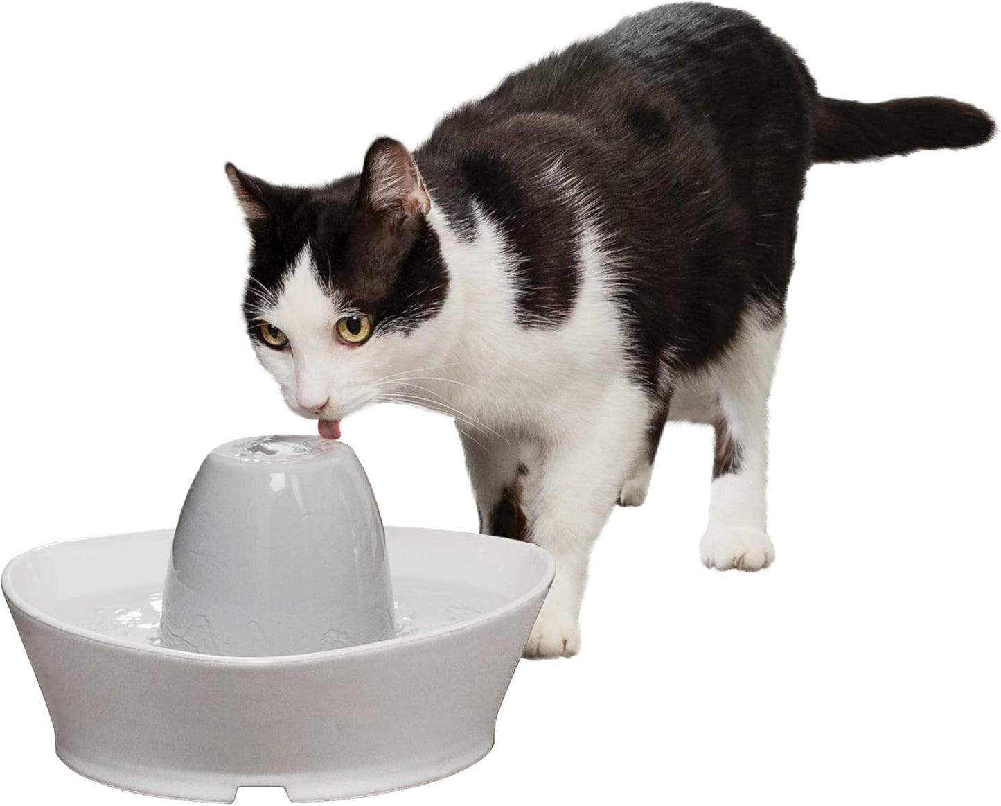 PetSafe Creekside Ceramic Pet Fountain 60 oz