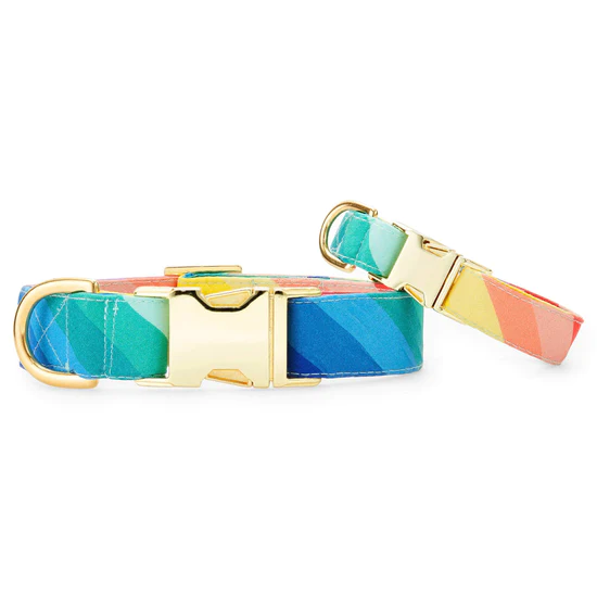 Foggy Dog Over the Rainbow Dog Collar