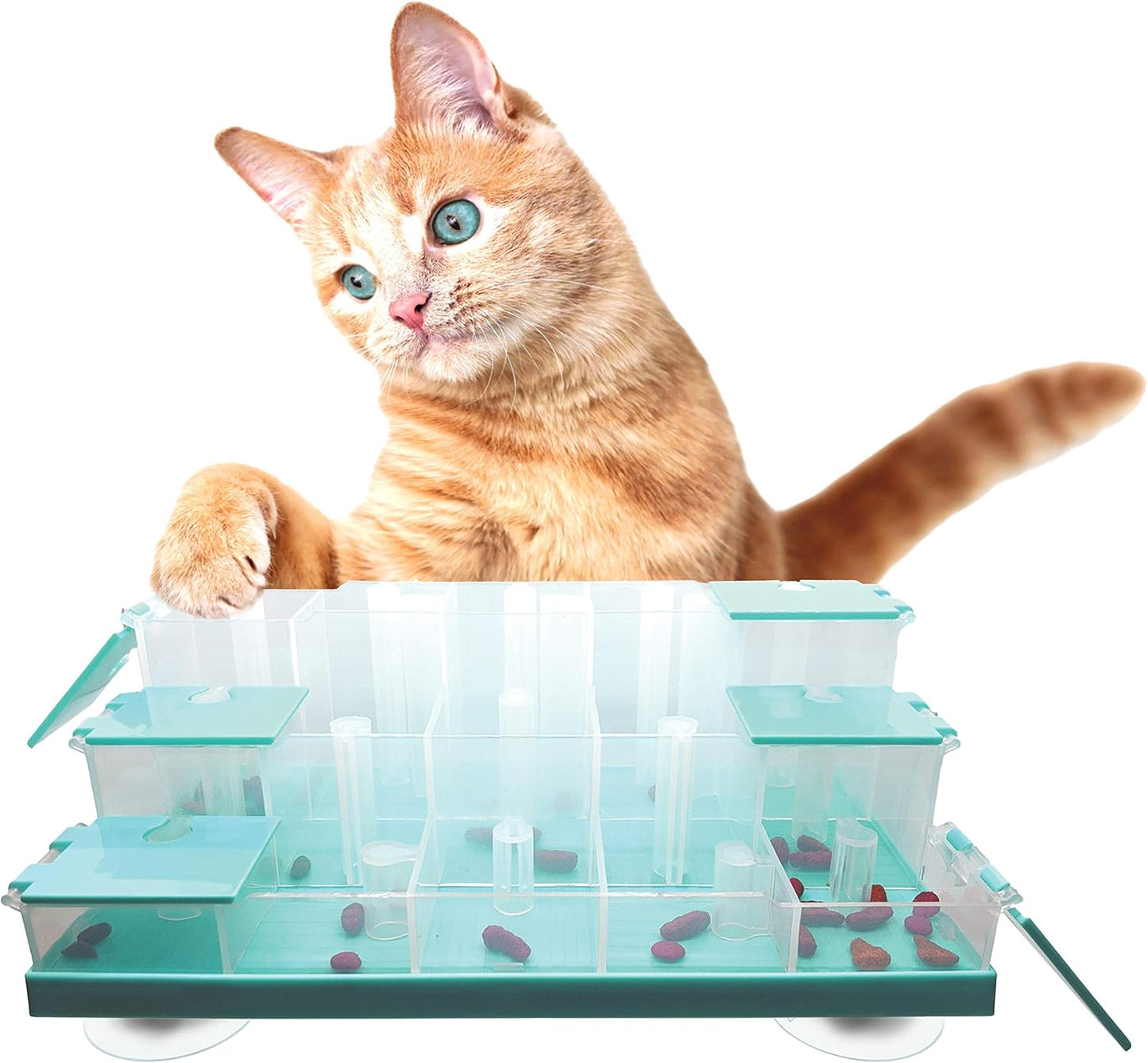 Doc & Phoebe Puzzle Feeder Cat Food and Treat Dispenser