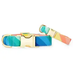 Foggy Dog Over the Rainbow Dog Collar