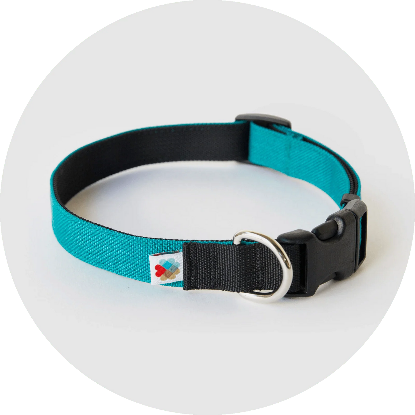 Wildebeest Pacifica Standard Collar