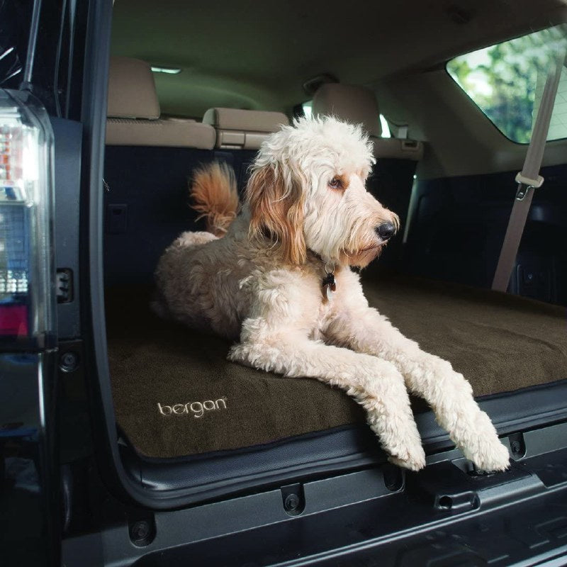 Bergan Cargo Floor Protector