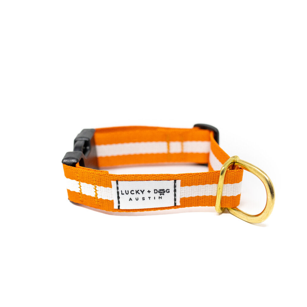 Lucky + Dog Austin Every Day Collar