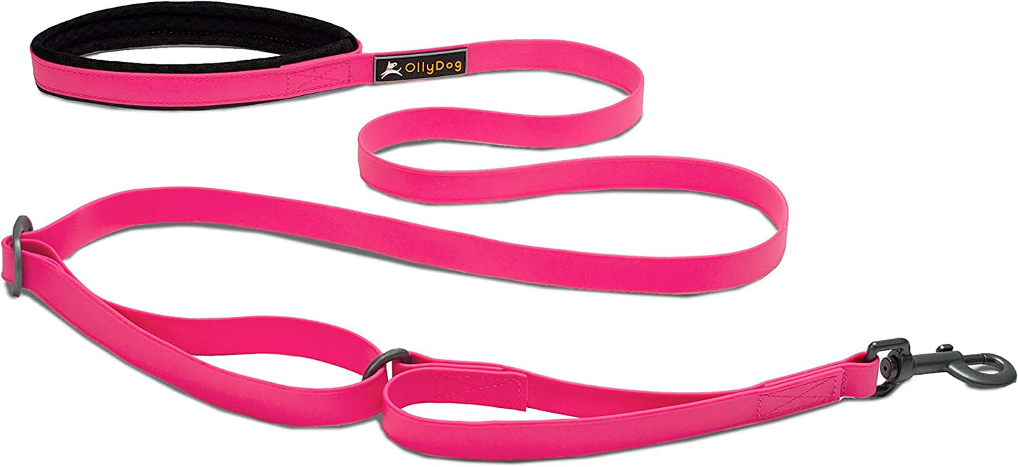 OllyDog Tilden Adjustable Waterproof Leash