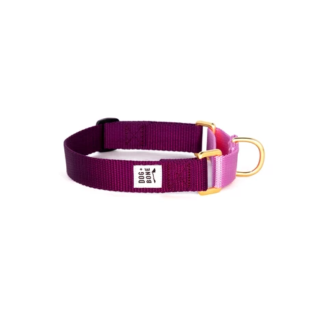 Dog + Bone Martingale Collar