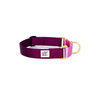 Dog + Bone Martingale Collar Dog + Bone Martingale Collar