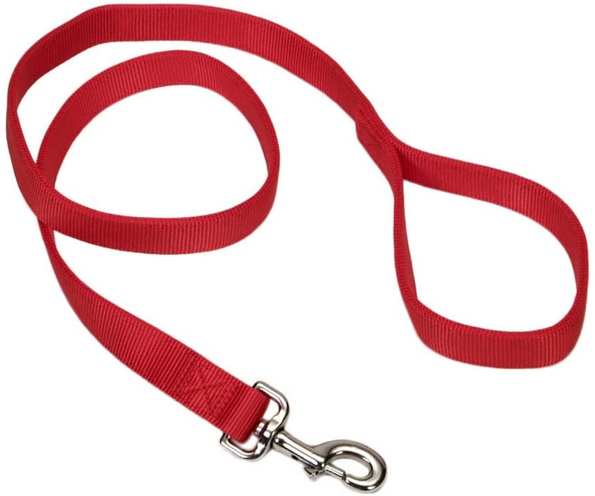 Coastal 1" Double-Ply Nylon Lead