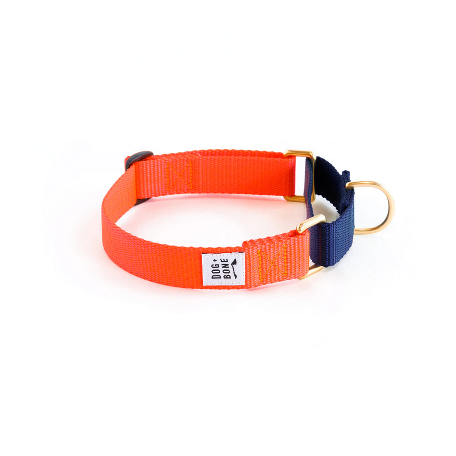 Dog + Bone Martingale Collar