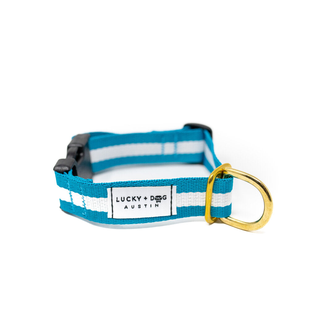 Lucky + Dog Austin Every Day Collar