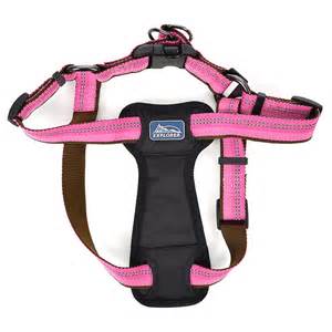 Coastal K9 Explorer Padded Harness Coastal K9 Explorer Padded Harness