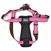 Coastal K9 Explorer Padded Harness Coastal K9 Explorer Padded Harness