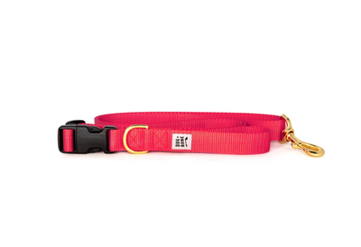 Dog + Bone Adjustable Leash Dog + Bone Adjustable Leash