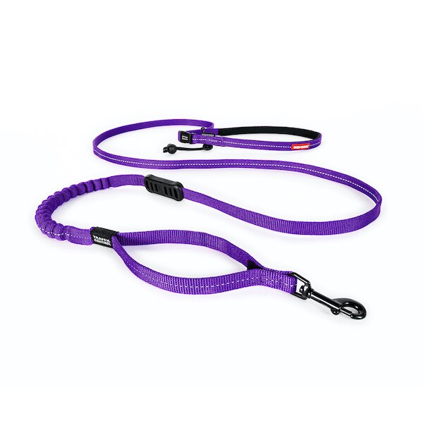EzyDog Road Runner Lite Leash