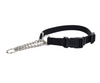 Coastal Check Training Collar with Buckle Coastal Check Training Collar with Buckle