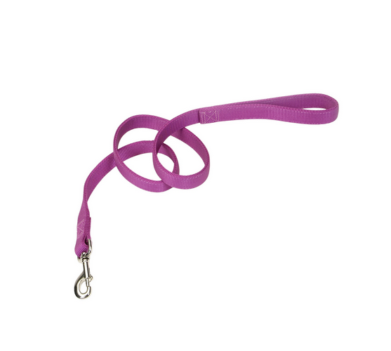 Coastal 1" Double-Ply Nylon Lead