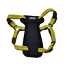 Coastal K9 Explorer Padded Harness Coastal K9 Explorer Padded Harness