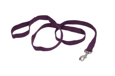 Coastal Soy Leash