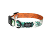 Leeds Dog Supply Collar Leeds Dog Supply Collar